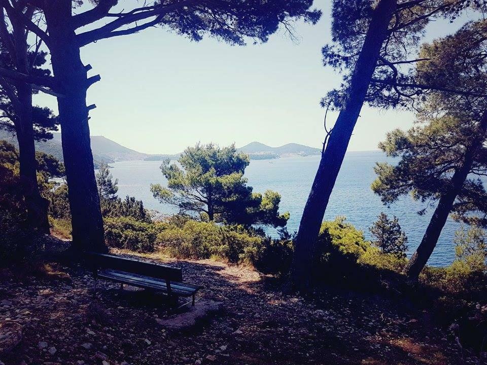 Hanas Dream Places Затон Екстериор снимка