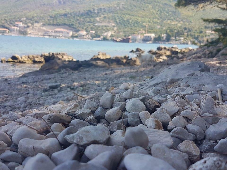 Hanas Dream Places Затон Екстериор снимка