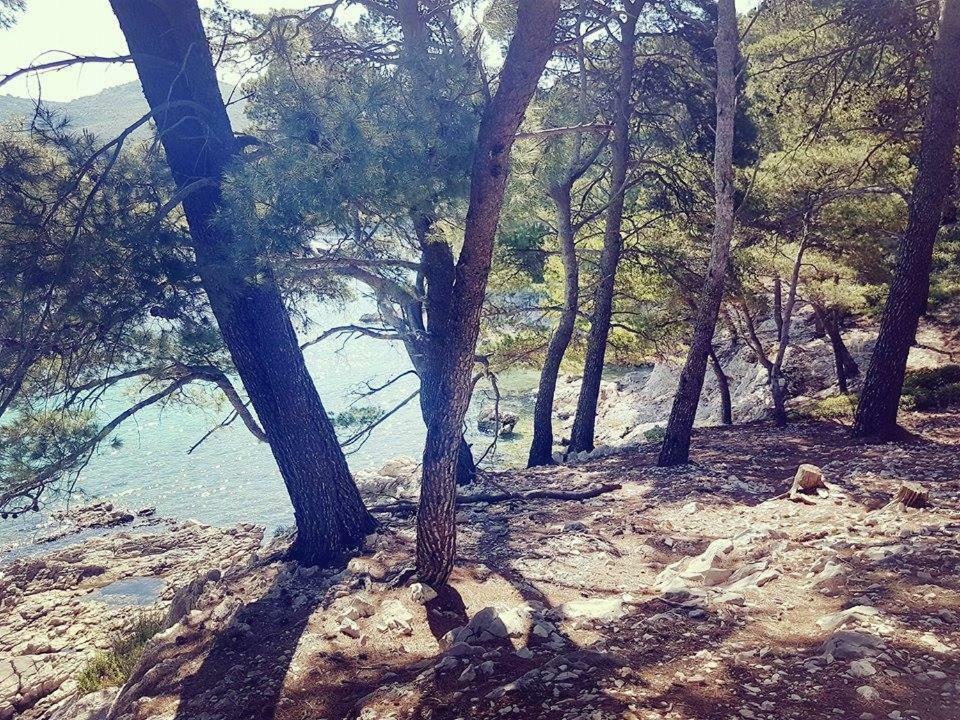 Hanas Dream Places Затон Екстериор снимка