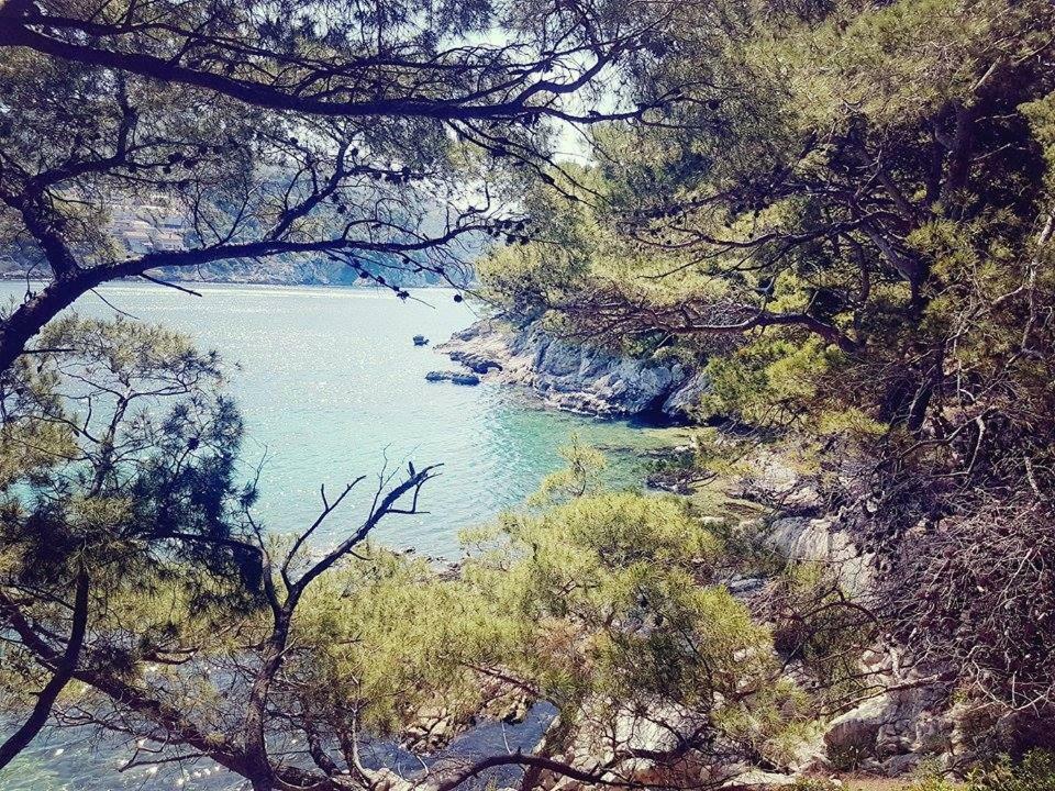 Hanas Dream Places Затон Екстериор снимка