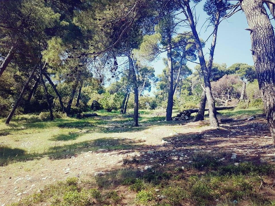 Hanas Dream Places Затон Екстериор снимка